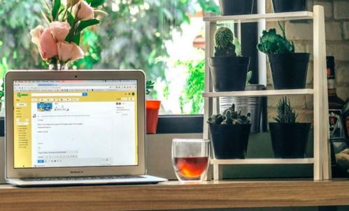 展商速递 原圆家庭——构建卓越幼教体系，赋能家庭教育咨询